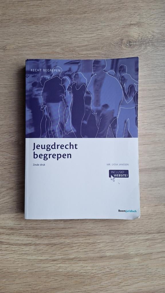 Lydia Janssen - Jeugdrecht begrepen, Boeken, Sociale wetenschap, Ophalen of Verzenden, Zo goed als nieuw, Lydia Janssen