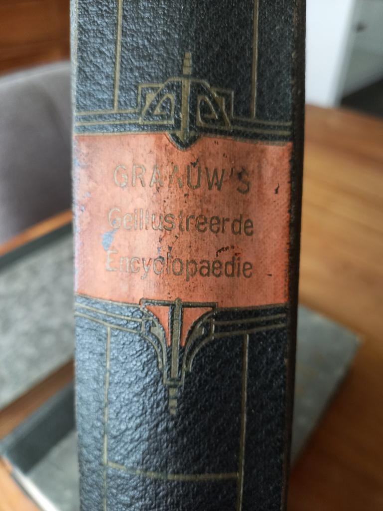 Graauw's Geïllustreerde Encyclopaedie, Boeken, Encyclopedieën, Gelezen, Ophalen of Verzenden, Los deel, Graauw