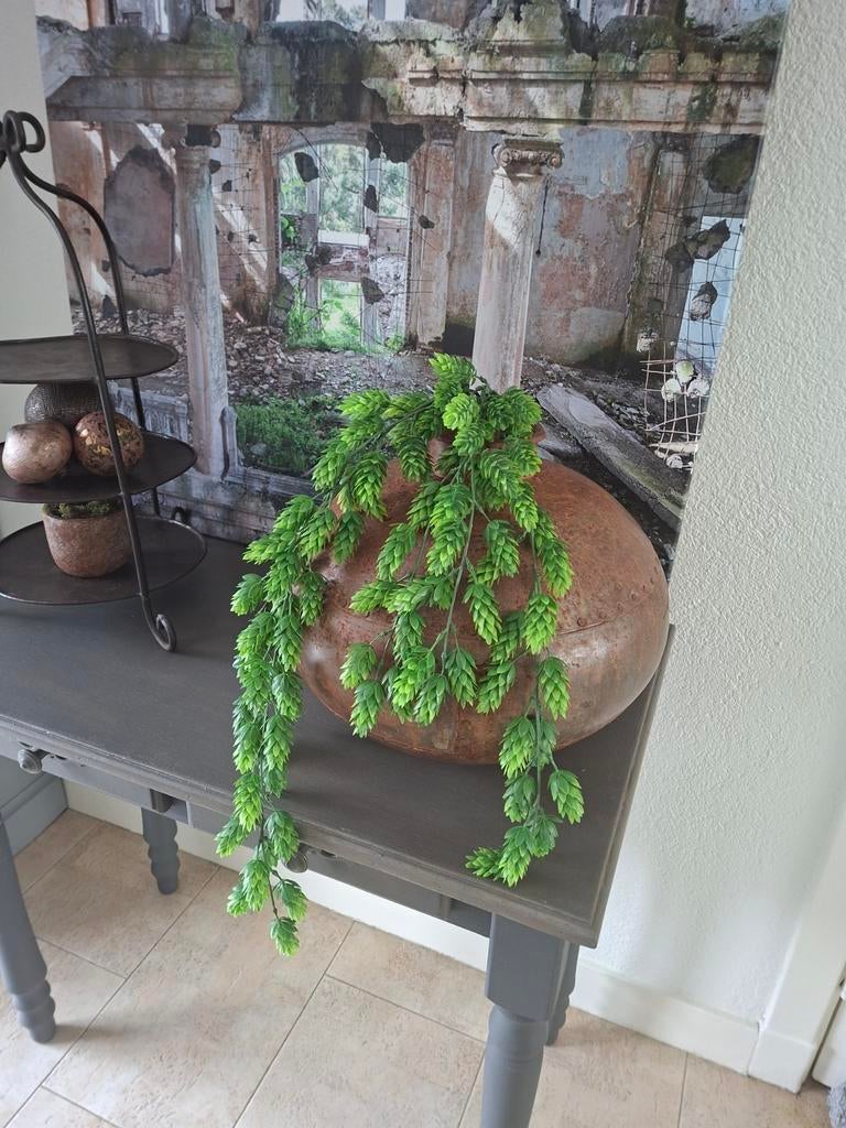 Kunst hangplant hop, Verzenden