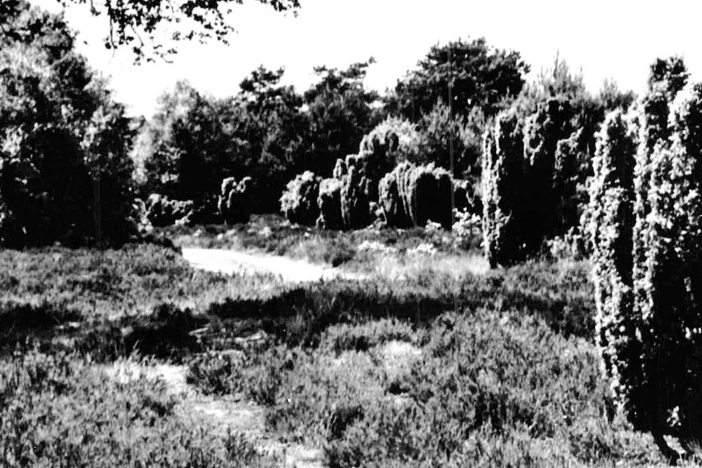 939314 Otterlo Jeneverbessenbos 1965 Gelopen met postzegel, Ophalen of Verzenden, 1960 tot 1980, Gelopen, Gelderland