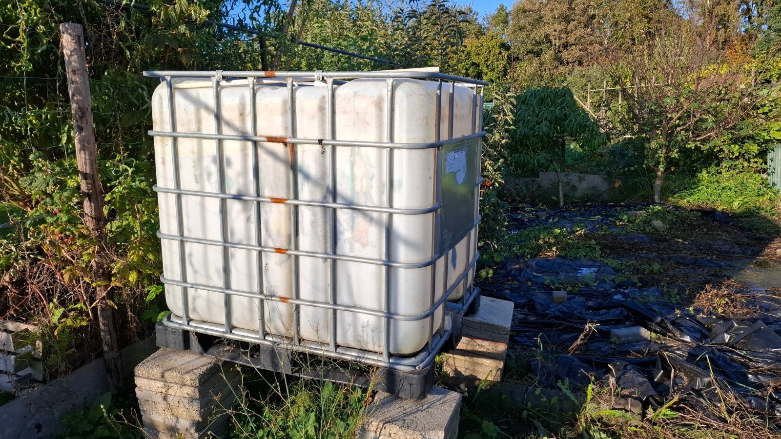 IBC Watertank 1000L met kraantje, Ophalen, Kunststof, Gebruikt, Met kraantje