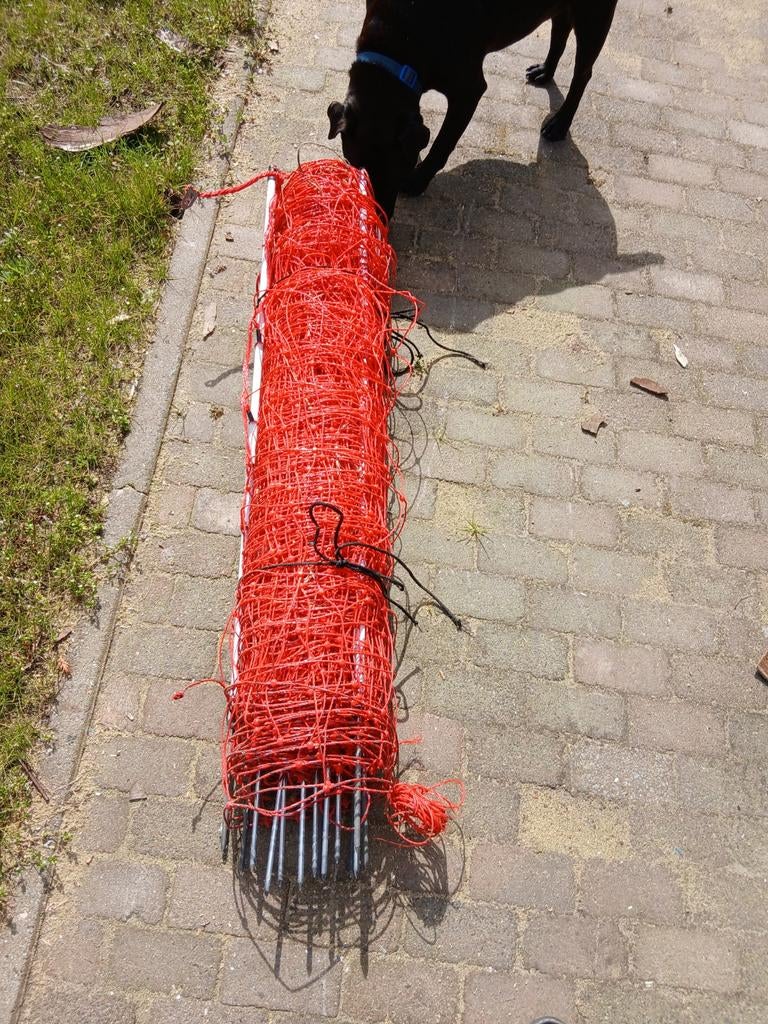 Schapengaas 50euro, Ophalen of Verzenden