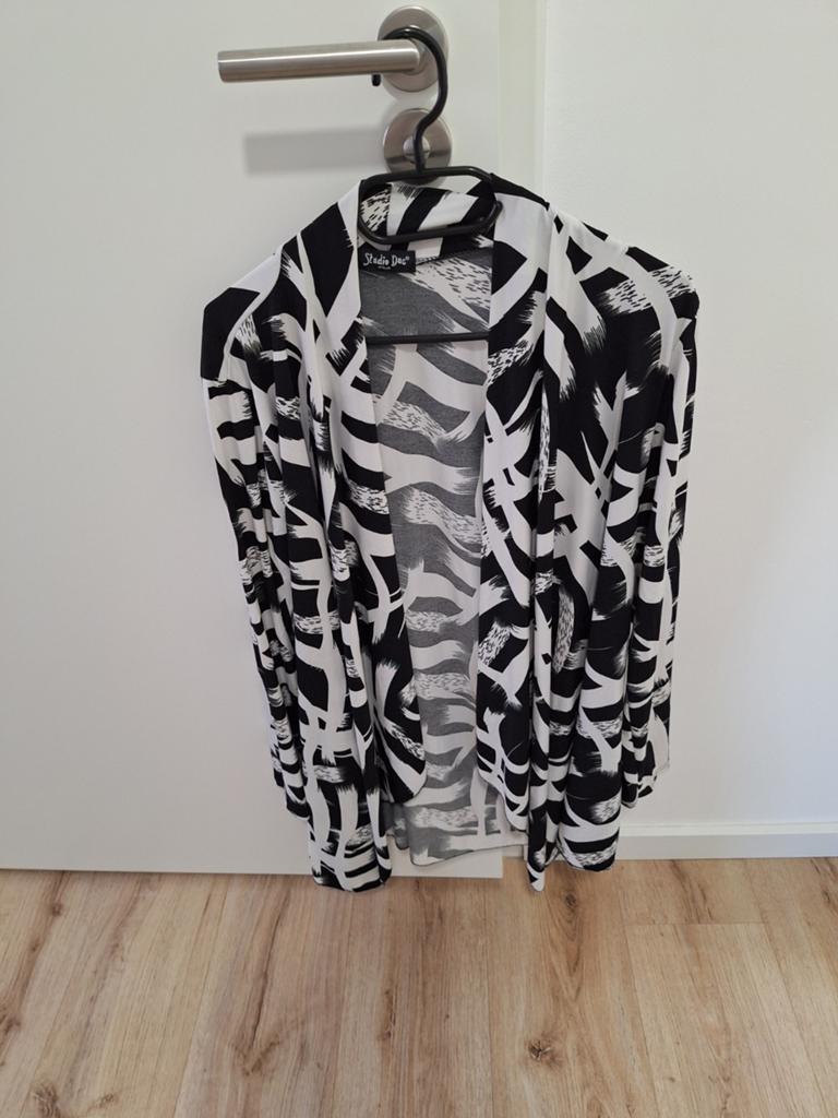 Vest, Ophalen of Verzenden, Gedragen, Maat 46/48 (XL) of groter, Zwart