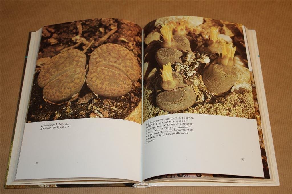 Lithops. Levende steentjes. Dr. Rudolf Heine., Ophalen of Verzenden, Gelezen, Vogels