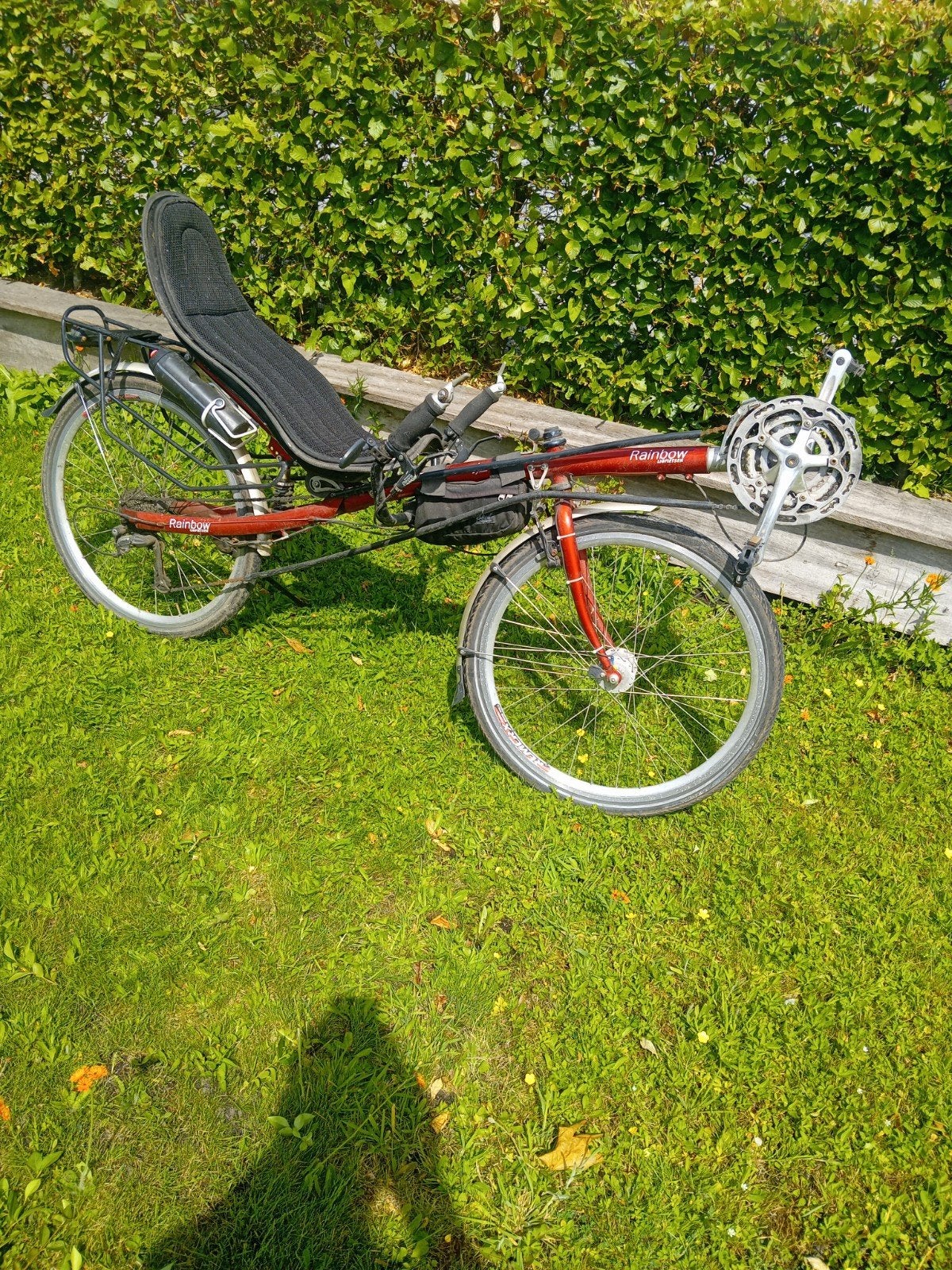 Ligfiets, Rainbow Lyra, Fietsen en Brommers, Gebruikt, Velgrem, Onderstuur, Ophalen