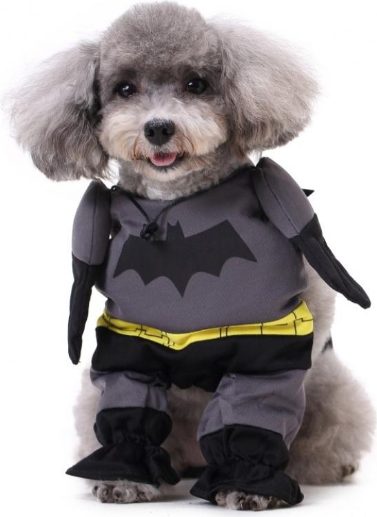 batman kostuum klein hond nieuw, Ophalen of Verzenden, Nieuw