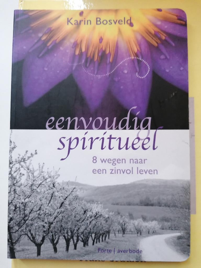 Eenvoudig spiritueel 8 wegen naar zinvol leven Karin Bosveld, Ophalen of Verzenden, Zo goed als nieuw, Karin Bosveld AVERBODE SPIRITUEEL / PLANK AVERBODE