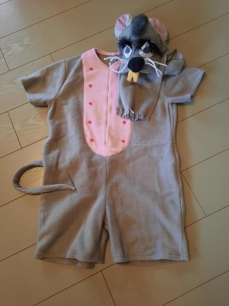 Muis Verkleedkleding Carnaval - Maat L en XL, Ophalen of Verzenden, Zo goed als nieuw, Carnaval