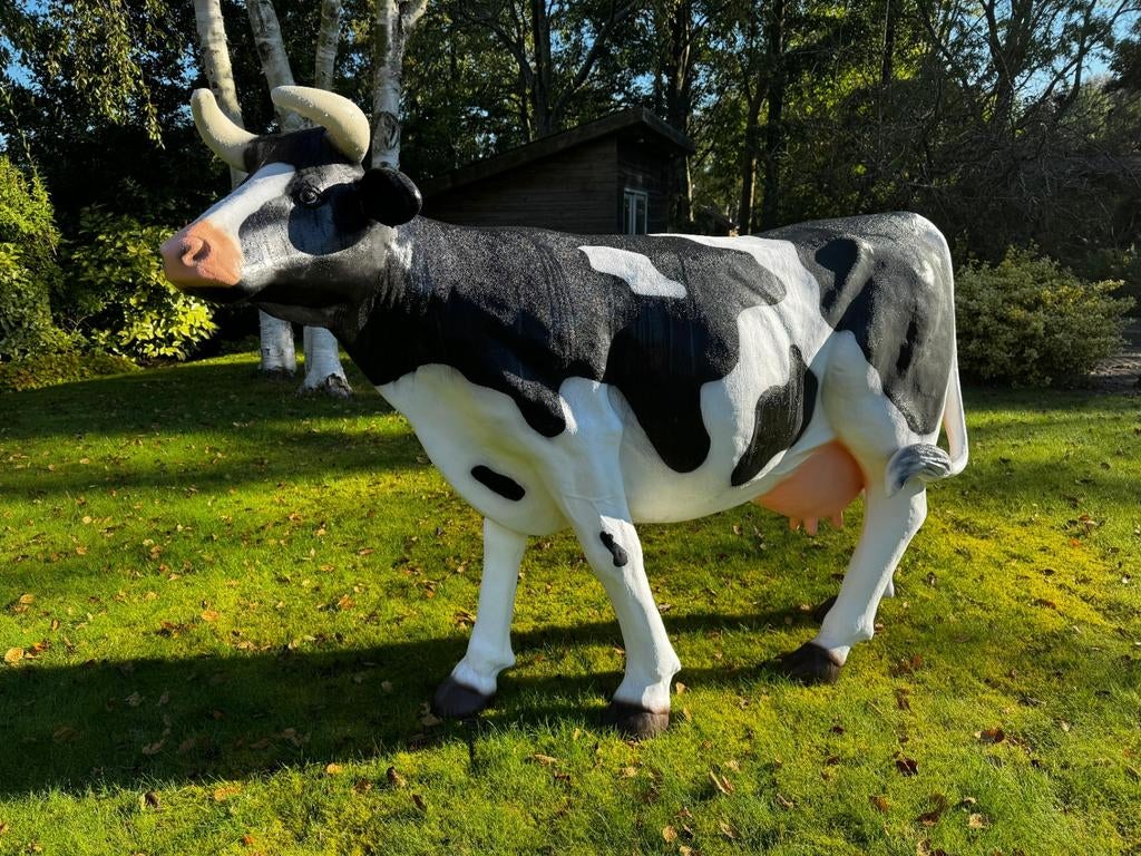 Leuke beelden koe varken geit honden kippen katten enz, Ophalen of Verzenden, Nieuw