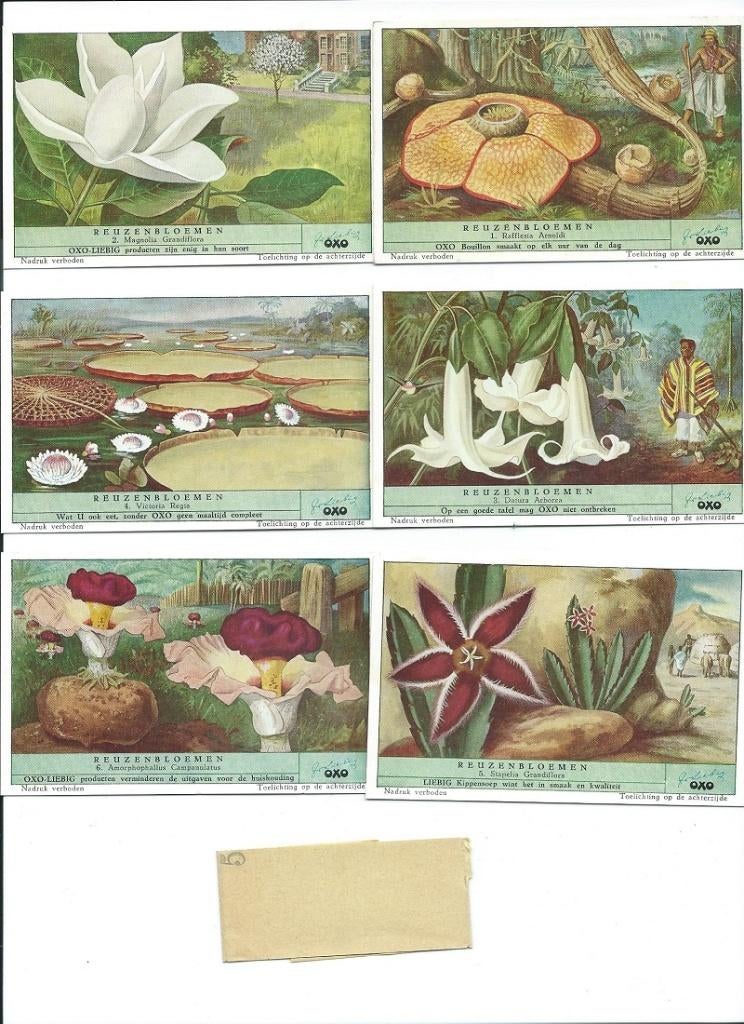 OXO plaatjes series van 6 stuks, Verzamelen, Merken en Reclamevoorwerpen, Zo goed als nieuw, Overige typen, Verzenden