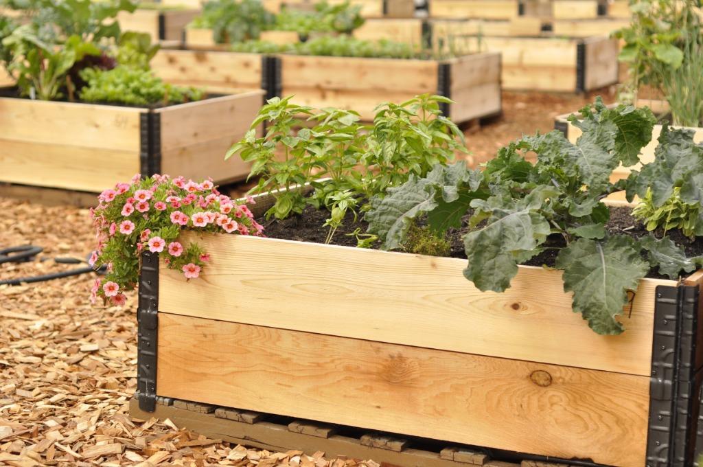 Palletranden / moestuinbakken - diverse soorten, Tuin en Terras, Ophalen of Verzenden, Nieuw, Minder dan 180 cm, Overige typen