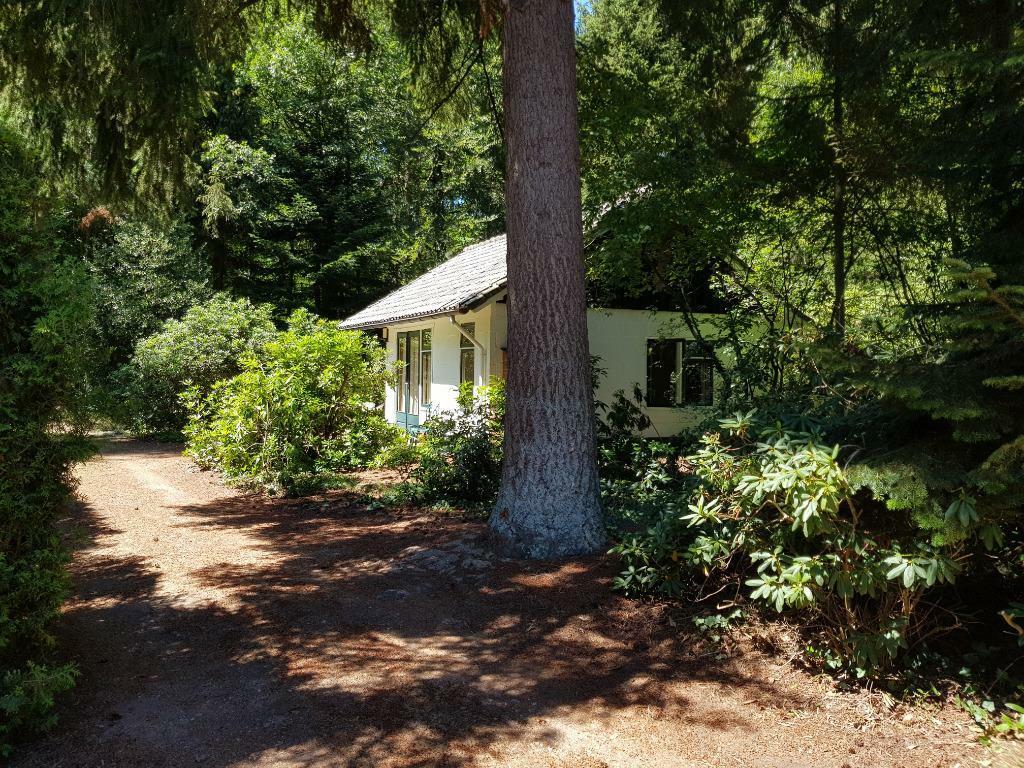 Gezellig zomerhuisje met veel privacy in bosrijk Ommen, In bos, Internet, 2 slaapkamers, Overijssel