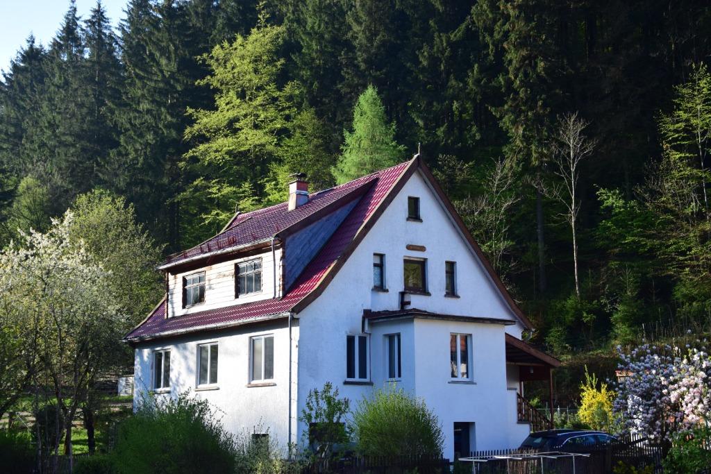 Vernieuwd groot vakantiehuis Thüringen Wald, Vakantie, Vakantiehuizen | Duitsland, Overige regio's, Boerderij of Cottage, Dorp