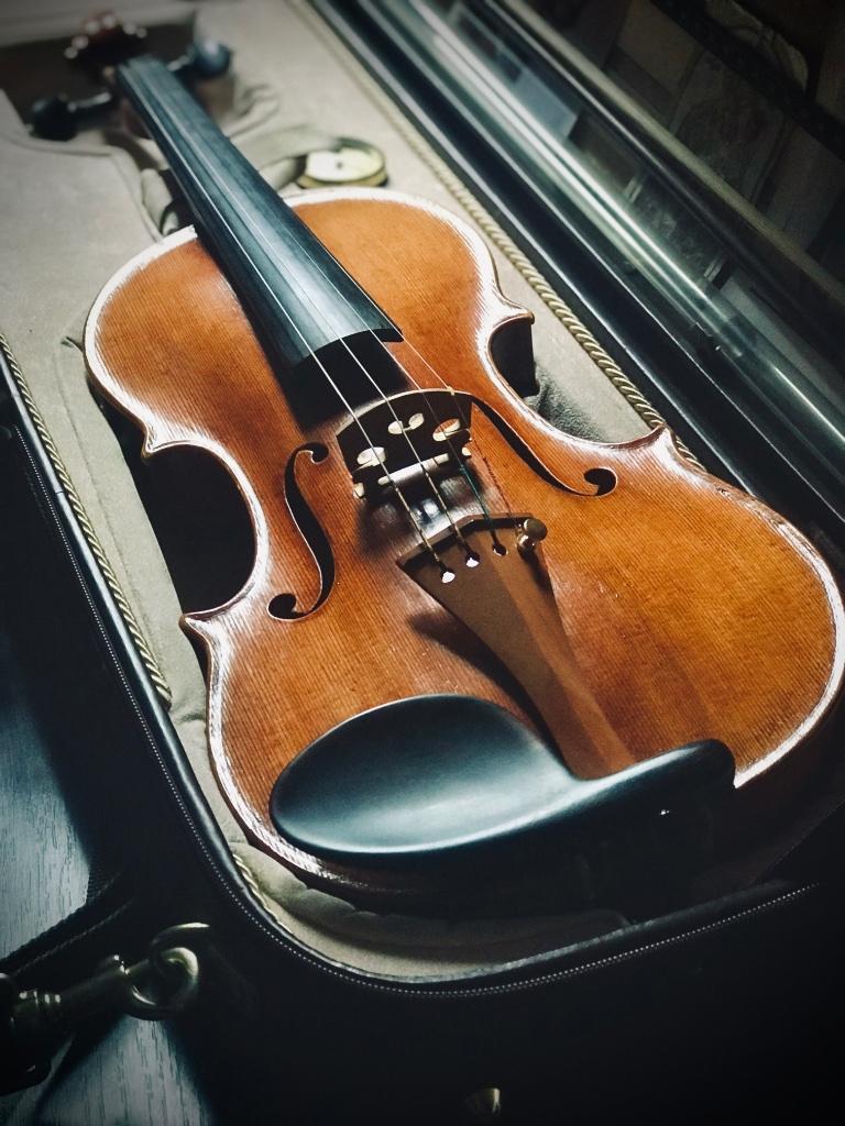Professionele viool nieuwbouw 2017 stradivarius model, Muziek en Instrumenten, Strijkinstrumenten | Violen en Altviolen, Ophalen