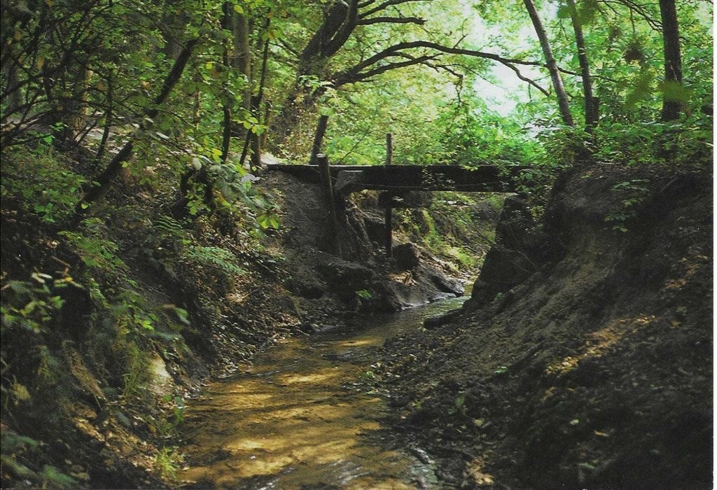 Ootmarsum- -Beekje in het Springendal., Ophalen of Verzenden, 1980 tot heden, Gelopen, Overijssel