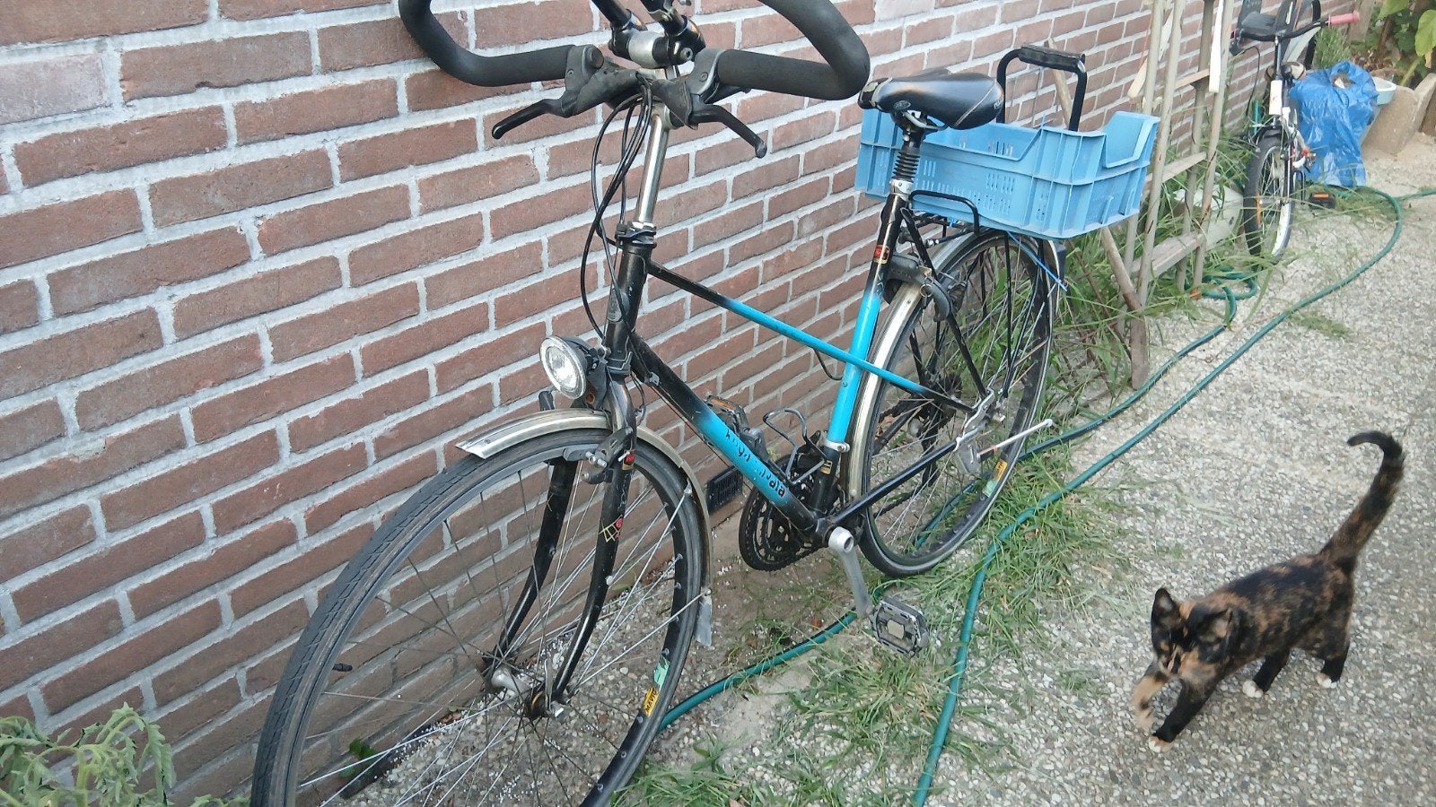 koga miyata opknapper, Fietsen en Brommers, Minder dan 10 versnellingen, Gebruikt, 51 tot 55 cm, Ophalen