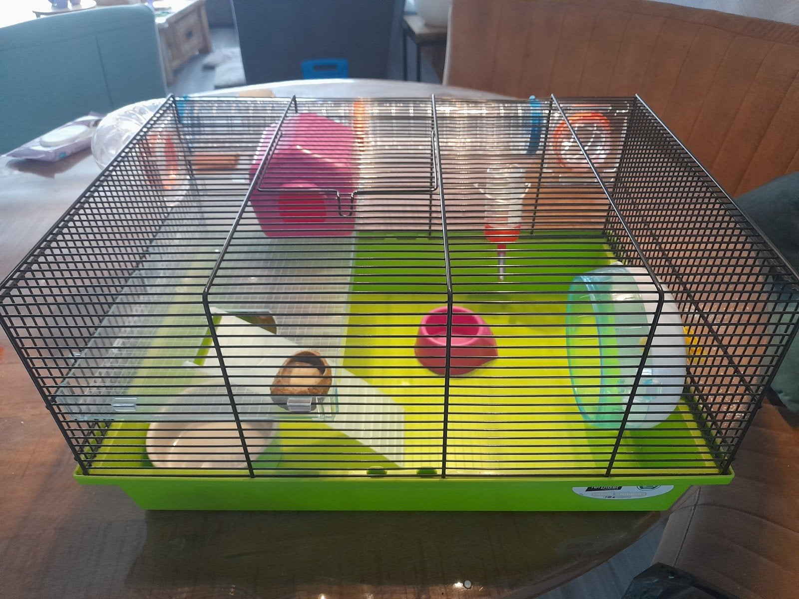 hamsterkooi van ferplast, Dieren en Toebehoren, Knaagdieren en Konijnen | Hokken en Kooien, Kooi, Gebruikt, Minder dan 75 cm, Hamster