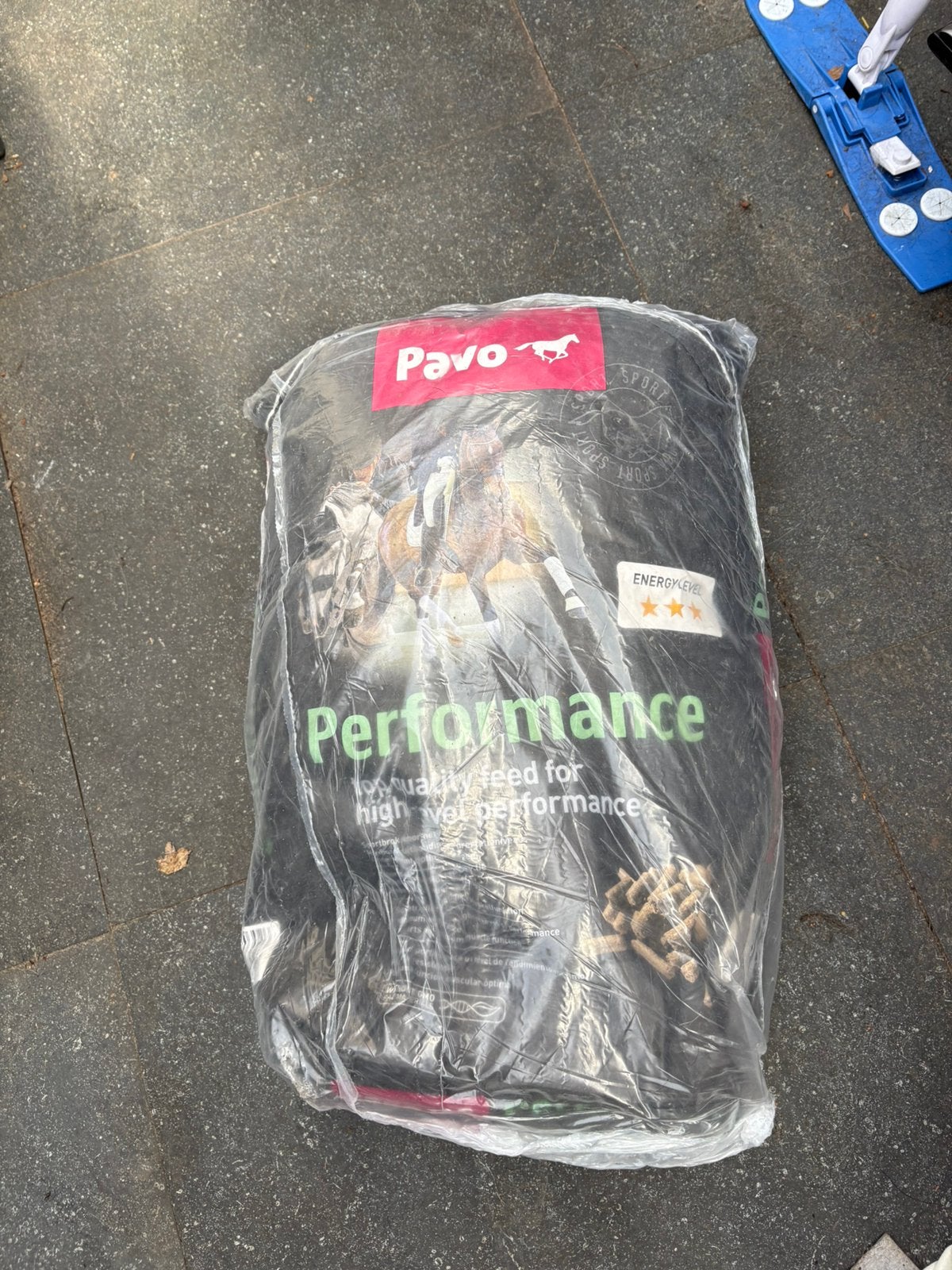 Pavo sportbrok, Ophalen of Verzenden, Nieuw, Overige soorten