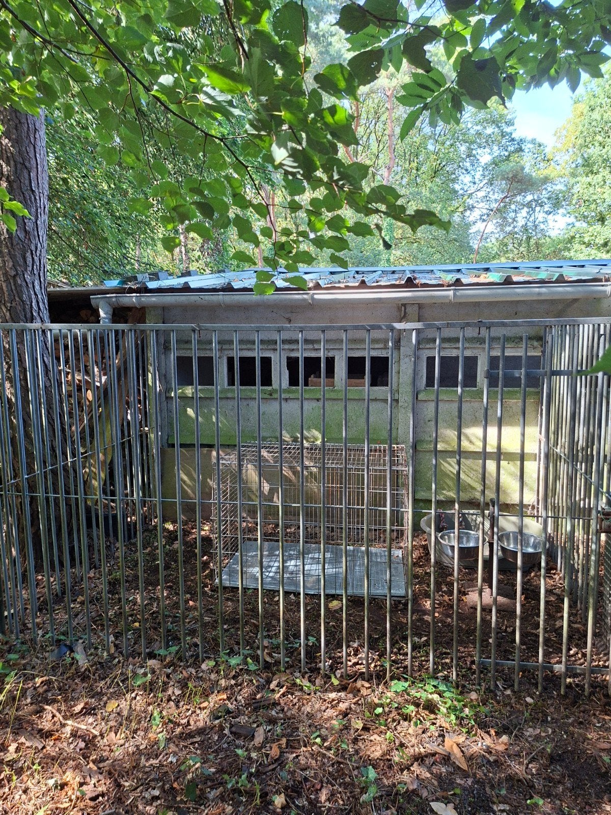 Hondenren + bench + mand + voederkommen, Ophalen, Gebruikt