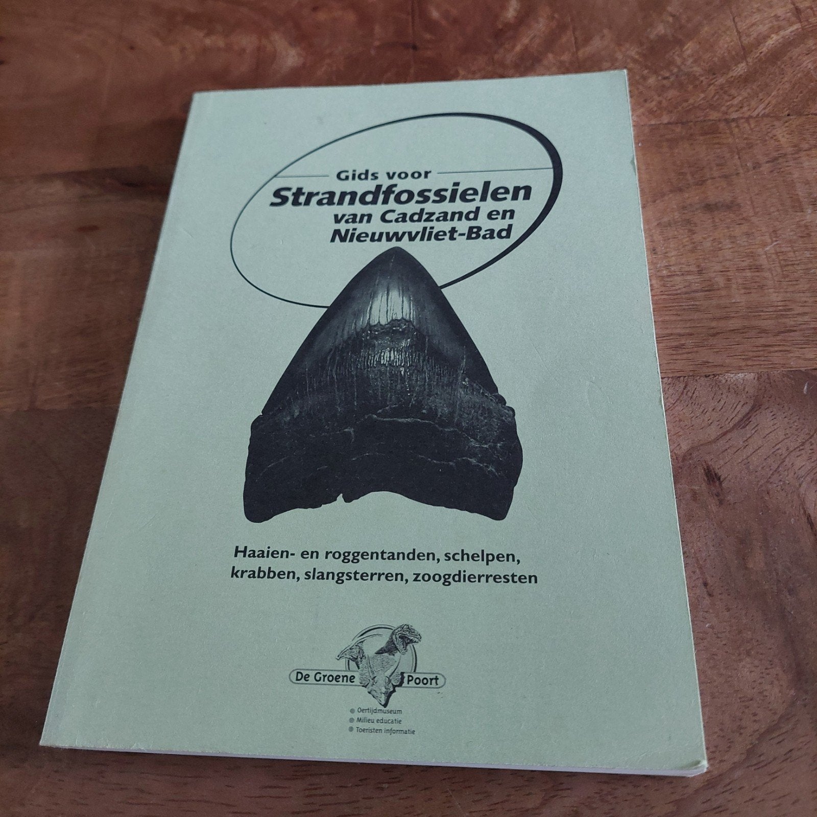 Gids voor Strandfossielen Cadzand en Nieuwvliet-Bad, Boeken, Ophalen of Verzenden, Gelezen, Overige onderwerpen