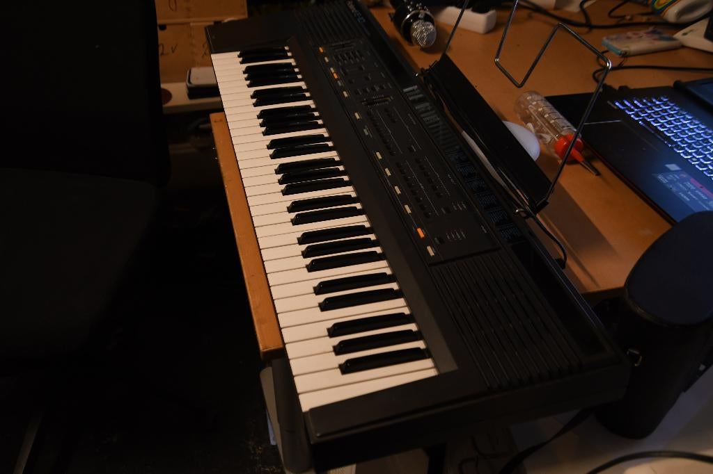 Roland EW-10 synthesizer, Ophalen, 61 toetsen, Roland, Zo goed als nieuw