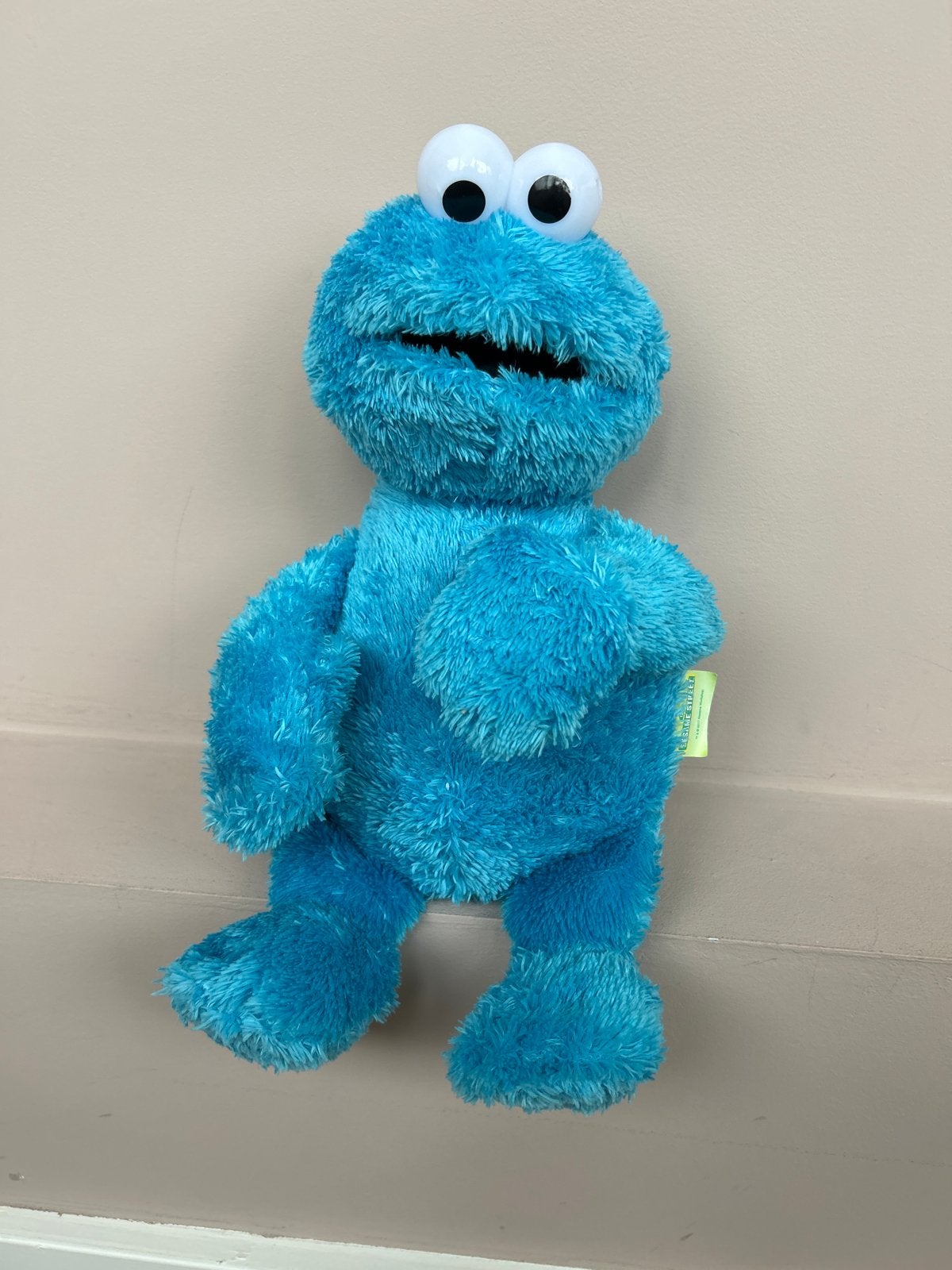 Leuke Koekiemonster knuffel van Sesamstraat, Gebruikt, Overige merken, Overige karakters, Overige typen