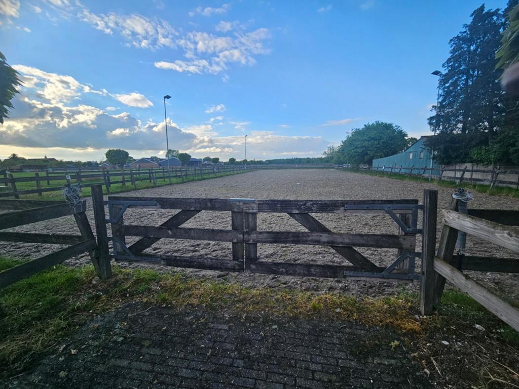 Paardenbak (zand, omheining en 4x lantaarnpalen), Dieren en Toebehoren