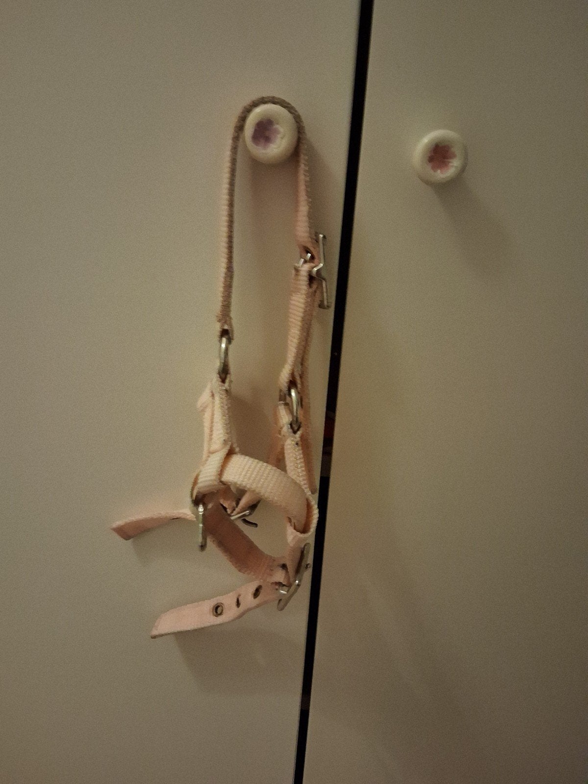 Veulenhalster, Huis en Inrichting, Lampen | Wandlampen, Verzenden