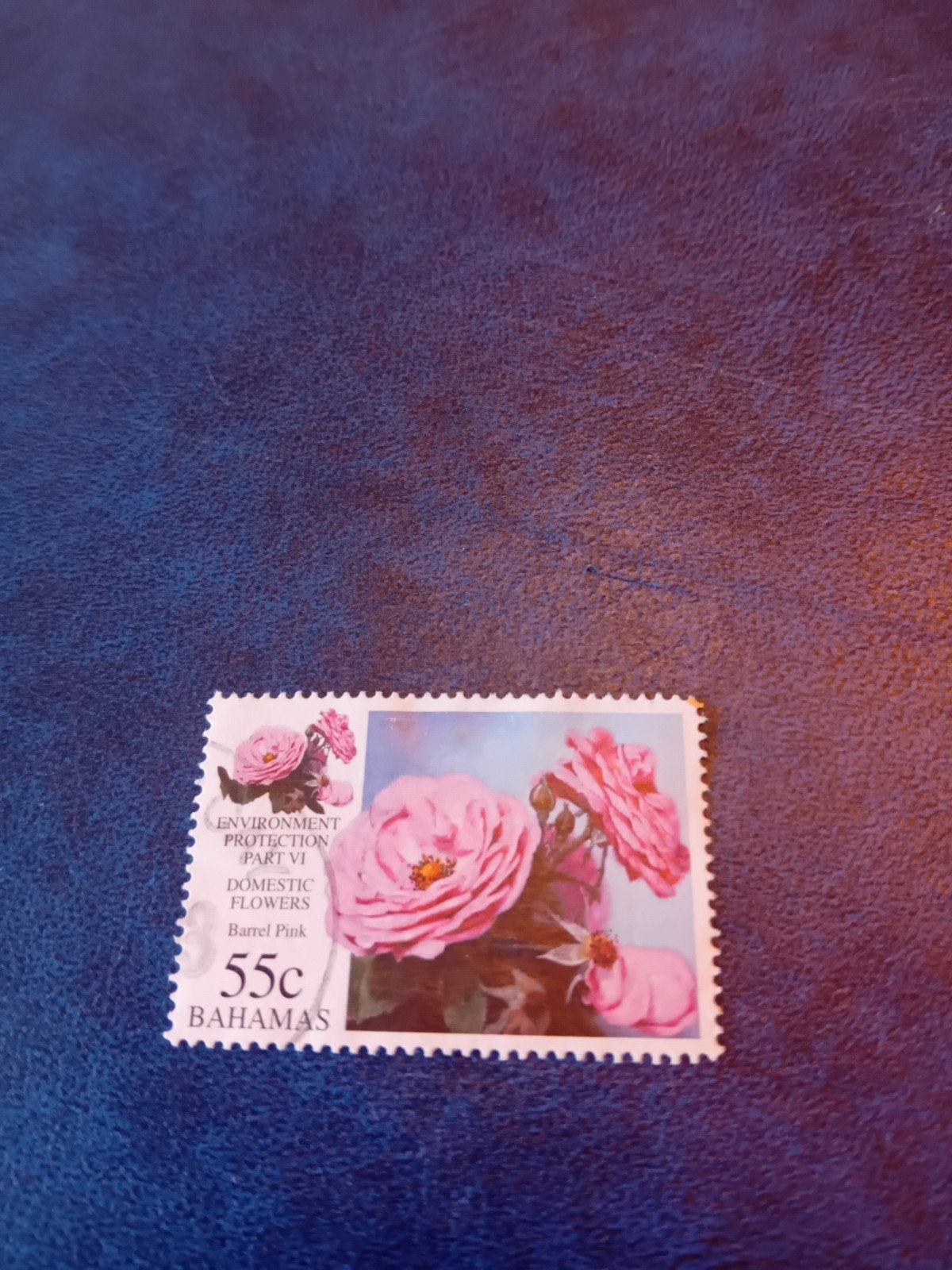 Postzegel Bahama's 55c Rozen Milieubescherming, Ophalen of Verzenden, Gestempeld