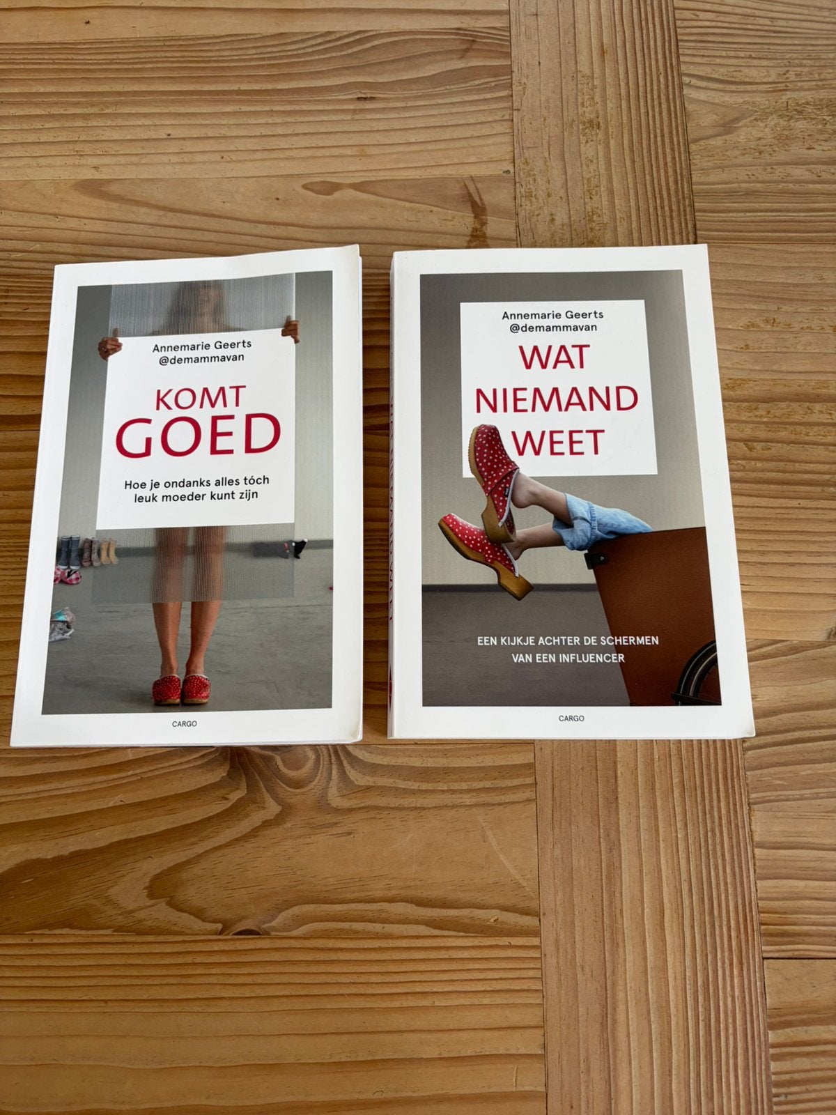 2 gesigneerde boeken van Annemarie Geerts (demammavan), Ophalen of Verzenden, Zo goed als nieuw