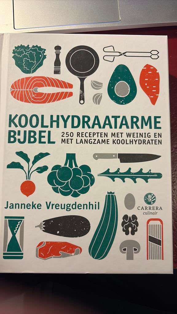 Janneke Vreugdenhil - Koolhydraatarme bijbel, Boeken, Kookboeken, Ophalen of Verzenden, Zo goed als nieuw, Janneke Vreugdenhil