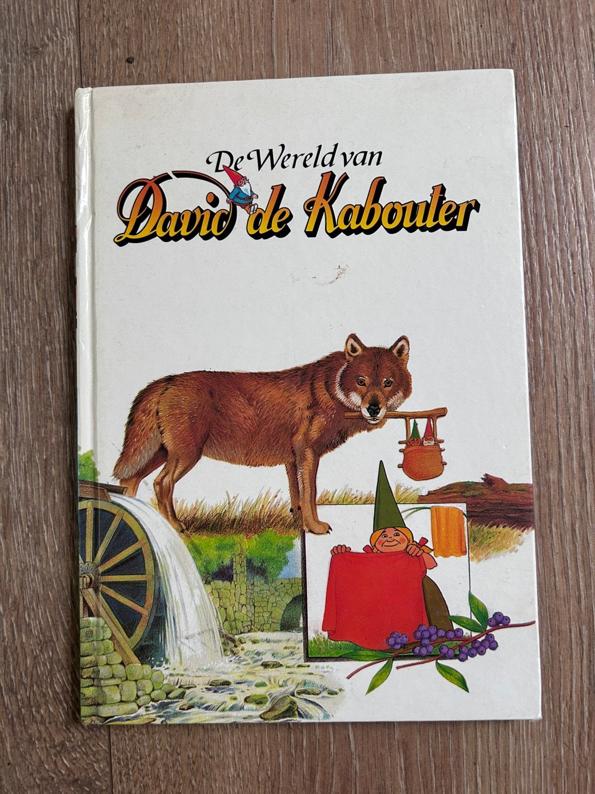 Boek de wereld van David de Kabouter, nummer 3, Boeken, Jongen of Meisje, Ophalen of Verzenden, Zo goed als nieuw, Voorleesboek