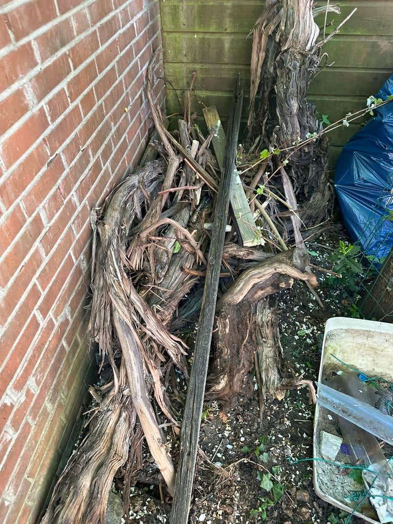Brandhout, Minder dan 3 m³, Ophalen, Overige houtsoorten, Takken
