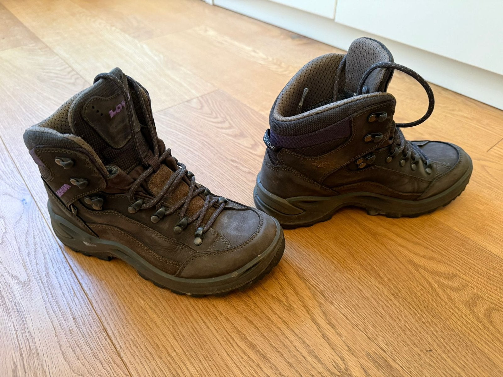 bruine berg-/wandelschoenen RENEGADE GTX MID WS maat 38 LOWA, Sport en Fitness, Bergsport en Wandelen, Gebruikt, Schoenen, Ophalen of Verzenden
