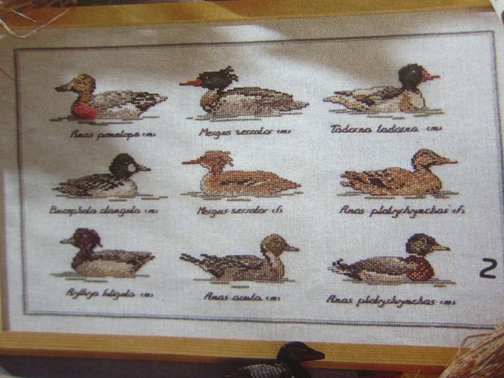 borduurpatroonen EENDEN, Hobby en Vrije tijd, Ophalen of Verzenden, Zo goed als nieuw, Handborduren, Patroon