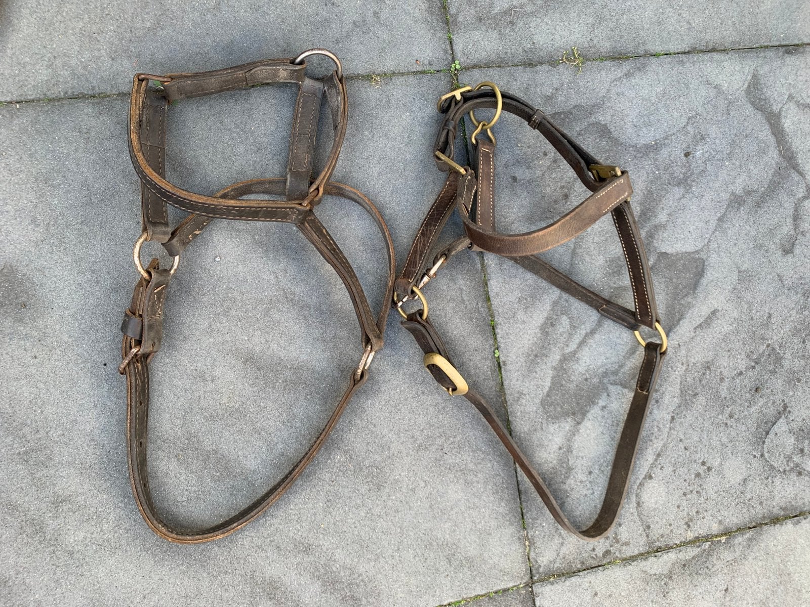 Leren halsters, Dieren en Toebehoren, Gebruikt, Bruin, Ophalen of Verzenden, Cob