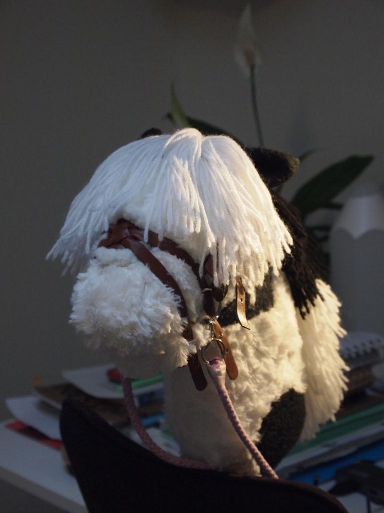 Leuke hobbyhorse! Net als iw hobbyhorse en ovega, Ophalen of Verzenden, Zo goed als nieuw, Jongen of Meisje