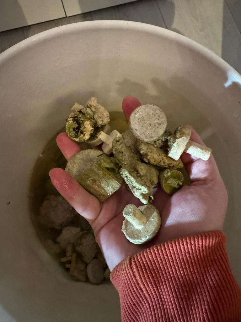 Koraal stek steentjes nieuw en gebruik >500 stuks, Ophalen of Verzenden, Zo goed als nieuw, Gevuld zeewateraquarium