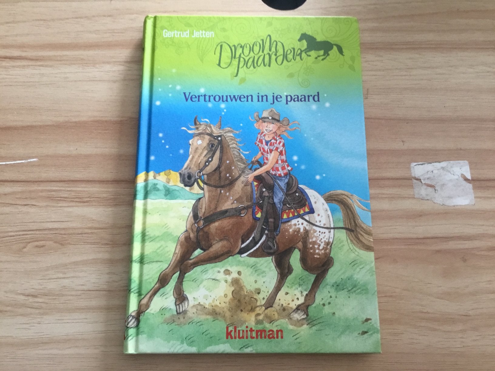Boek droom paarden vertrouwen in je paard, Ophalen of Verzenden, Zo goed als nieuw
