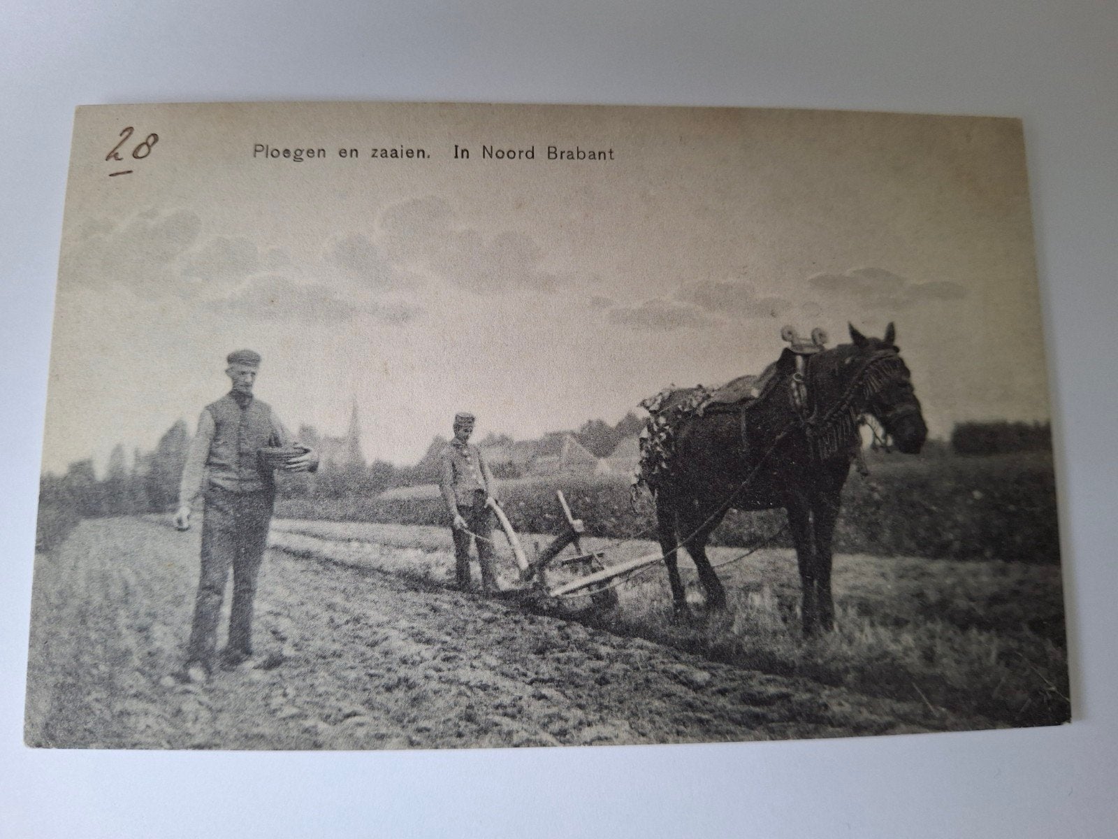 ansichtkaart, boer met paard aan het ploegen., Ophalen of Verzenden, Noord-Brabant