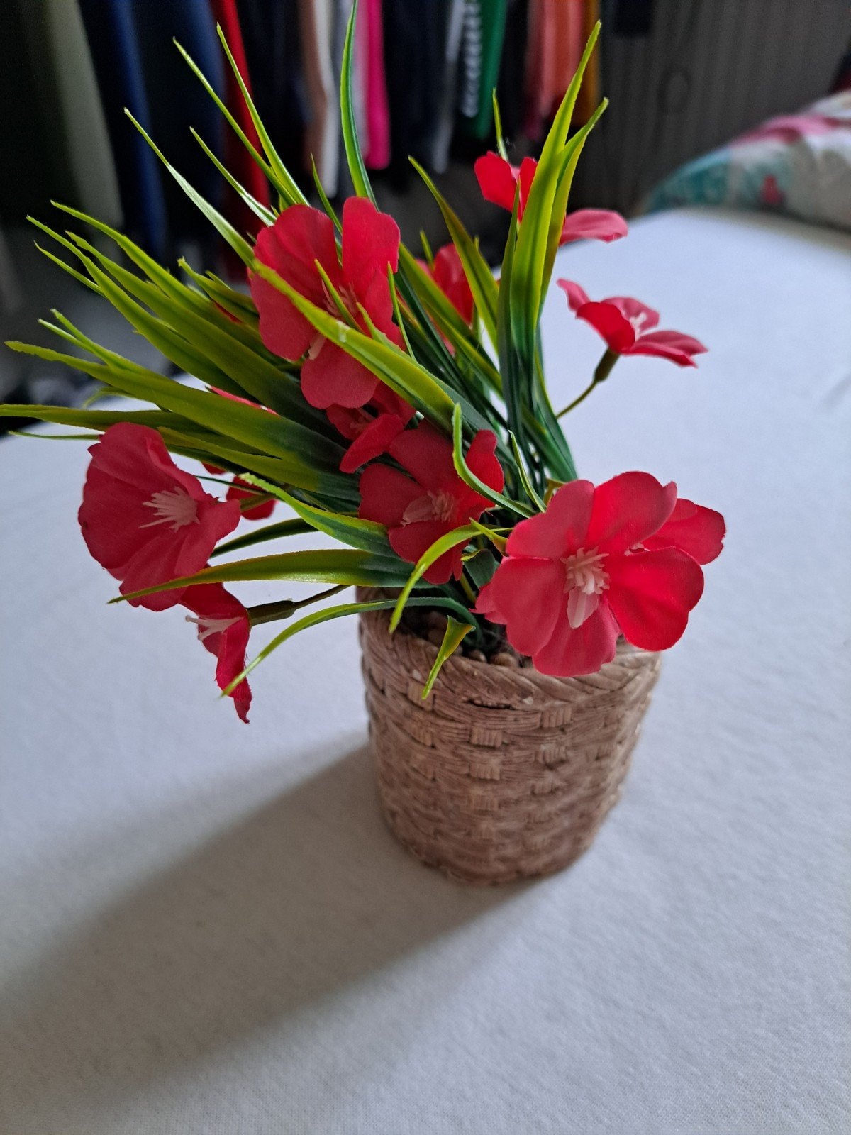 Kunstplantje met rode bloemen in gevlochten pot, Binnen, Met pot of vaas, Kunstplant, Ophalen of Verzenden