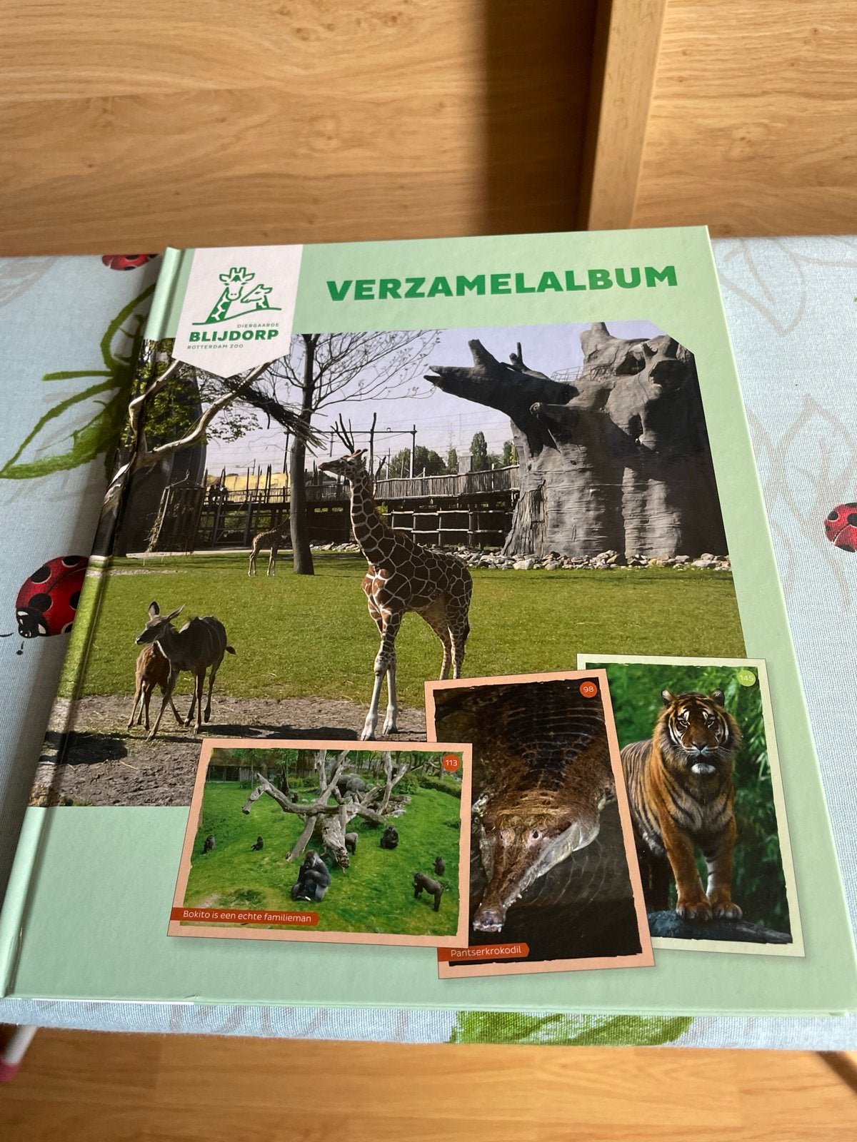 Jumbo Blijdorp Verzamelaalbum - Bijzondere Ontmoetingen, Ophalen of Verzenden