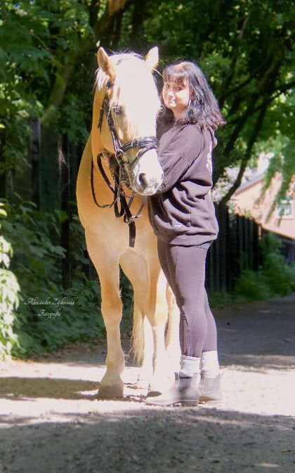 Verzorgster aangeboden/verzorg paard/pony gezocht, Ophalen