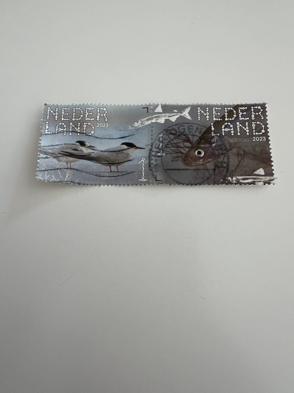 Blokje Visdief & Spiering 2023, Ophalen of Verzenden