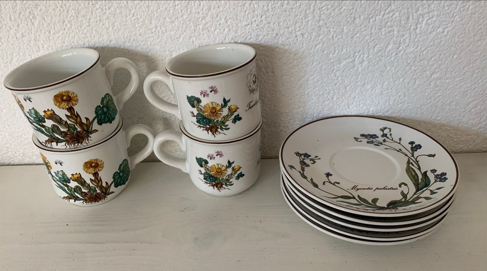 Villeroy & Boch Botanica kopjes en schotels, Gebruikt, Klassiek, Villeroy & Boch, Ophalen of Verzenden