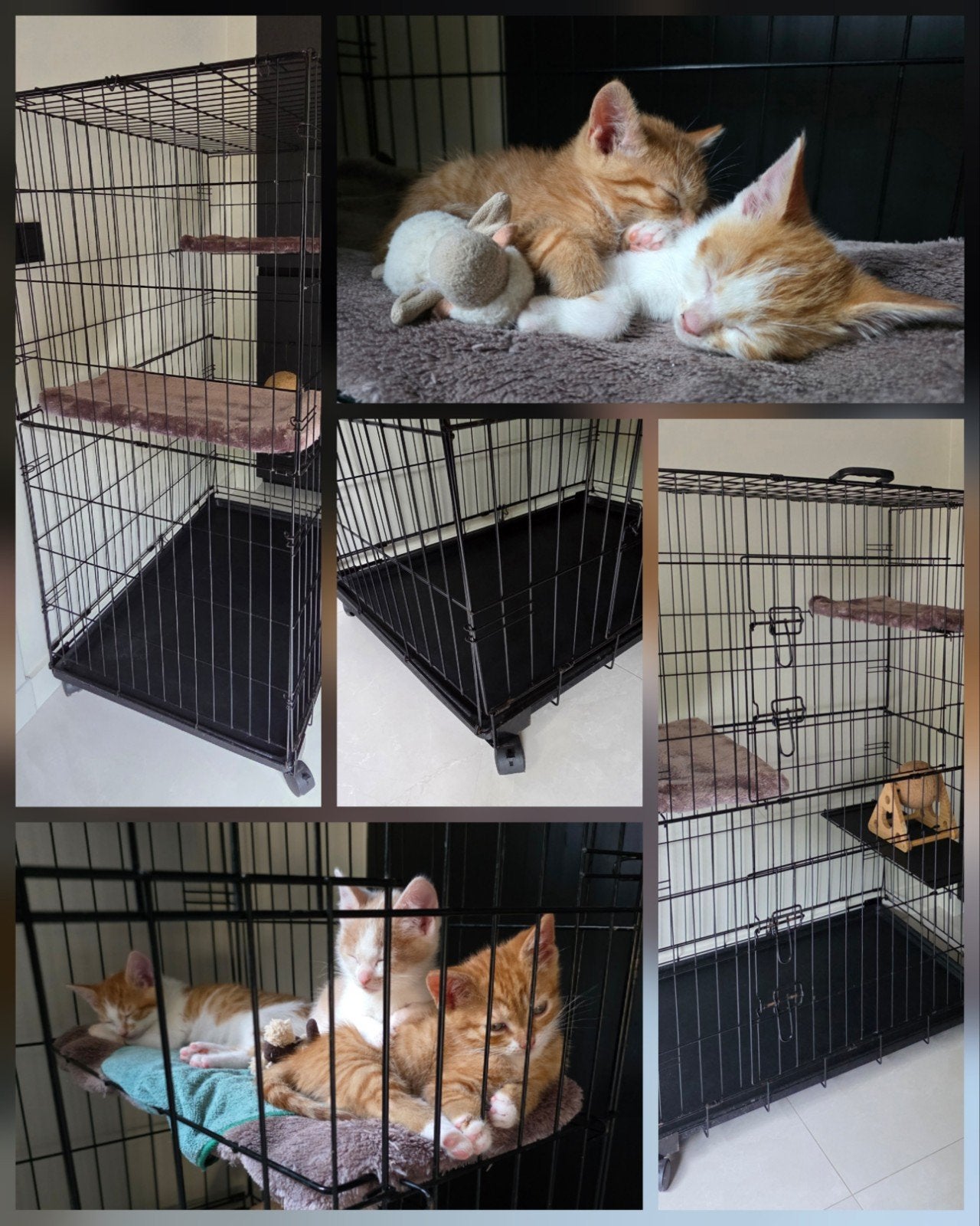 Duvo plus Topline kattenbench, verplaats- en inklapbaar, Dieren en Toebehoren, Katten-accessoires, Ophalen, Gebruikt