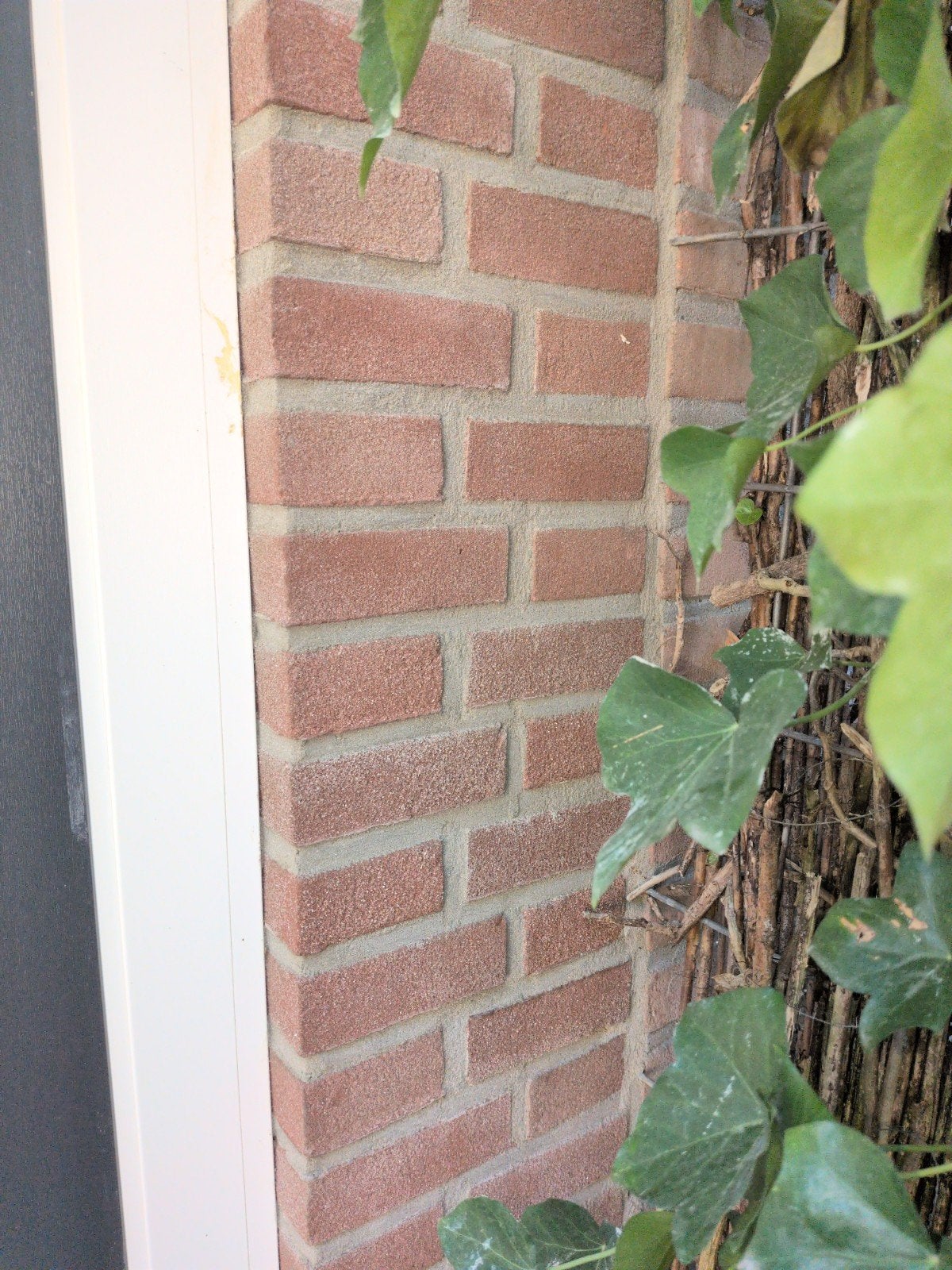 Circa 45 nieuwe bakstenen gratis af te halen, Ophalen, Nieuw, Bakstenen