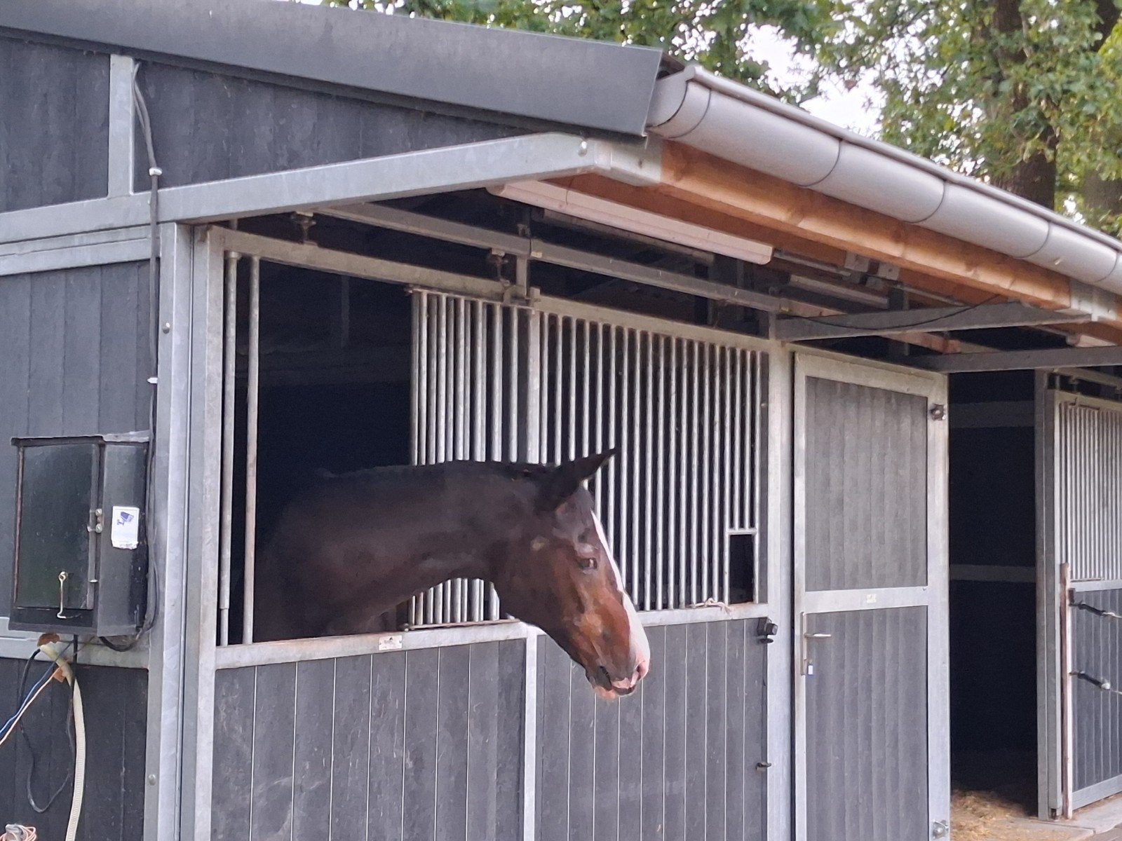 Paardenstal of rusthuis., Dieren en Toebehoren, Stalling en Weidegang, Weidegang, 2 of 3 paarden of pony's