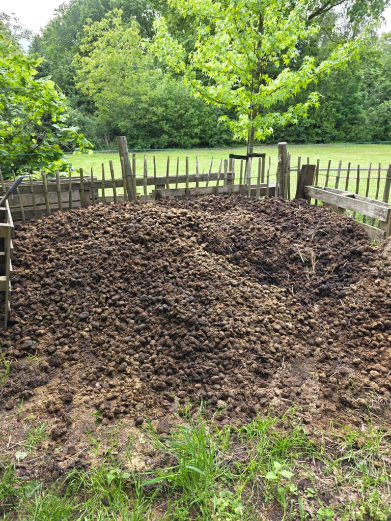 Gratis paardenmest, uit weide, Ophalen
