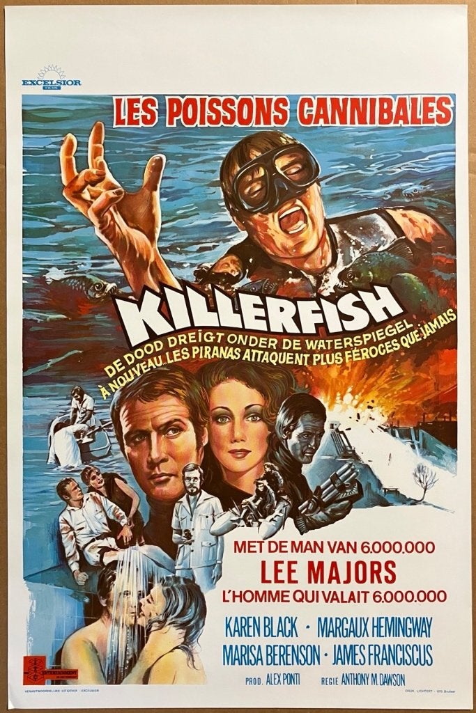 Originele bioscoop filmposters gezocht / te ruil, Ophalen of Verzenden, Gebruikt, Film, Poster